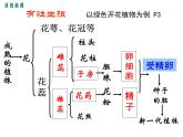 7.1.1植物的生殖课件PPT