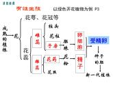 7.1.1植物的生殖课件PPT