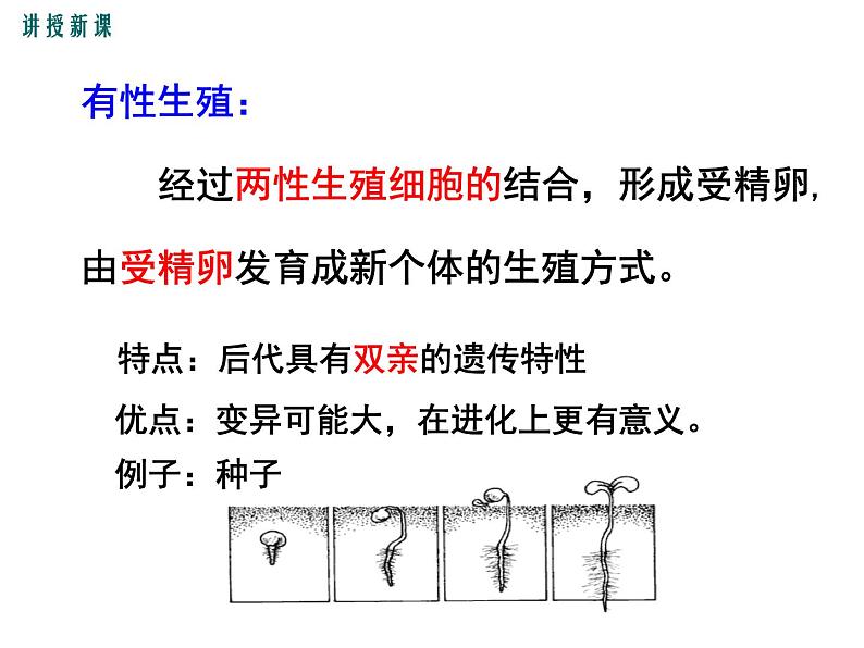 7.1.1植物的生殖课件PPT06