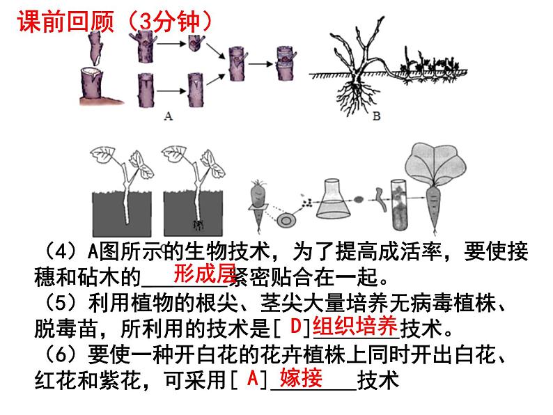 7.1.2昆虫的生殖和发育课件PPT03