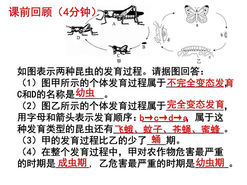 7.1.3两栖动物的生殖和发育课件PPT01