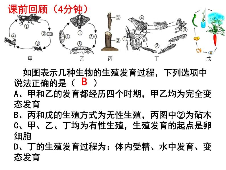 7.1.3两栖动物的生殖和发育课件PPT02