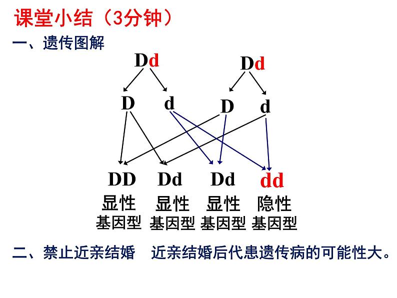 7.2.3基因的显性和隐性 课时2课件PPT08