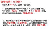 7.2.4人的性别遗传课件PPT