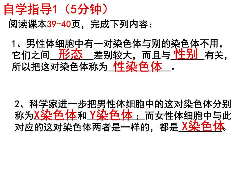 7.2.4人的性别遗传课件PPT04