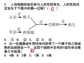 7.2.5 生物的变异课件PPT