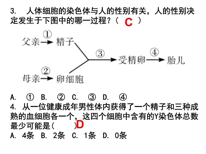 7.2.5 生物的变异课件PPT02