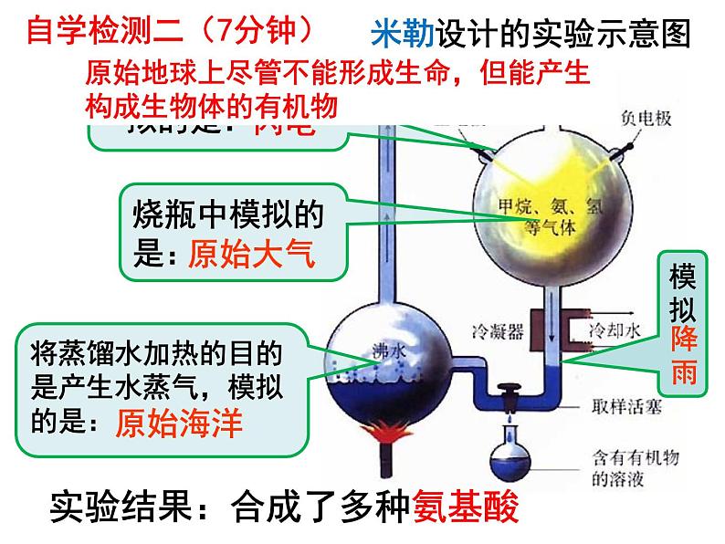 7.3.1地球上生命的起源课件PPT08