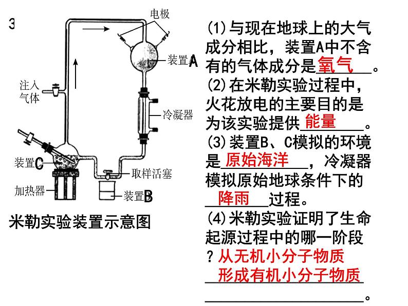 7.3.2生物进化的历程课件PPT第2页