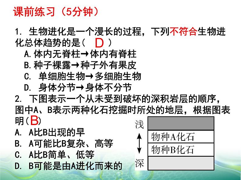 7.3.3生物进化的原因课件PPT01