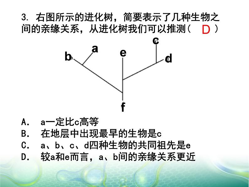 7.3.3生物进化的原因课件PPT02