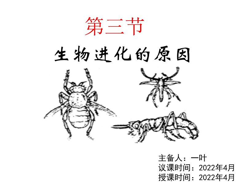 7.3.3生物进化的原因课件PPT03