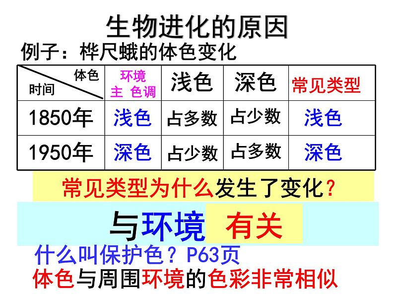 7.3.3生物进化的原因课件PPT05