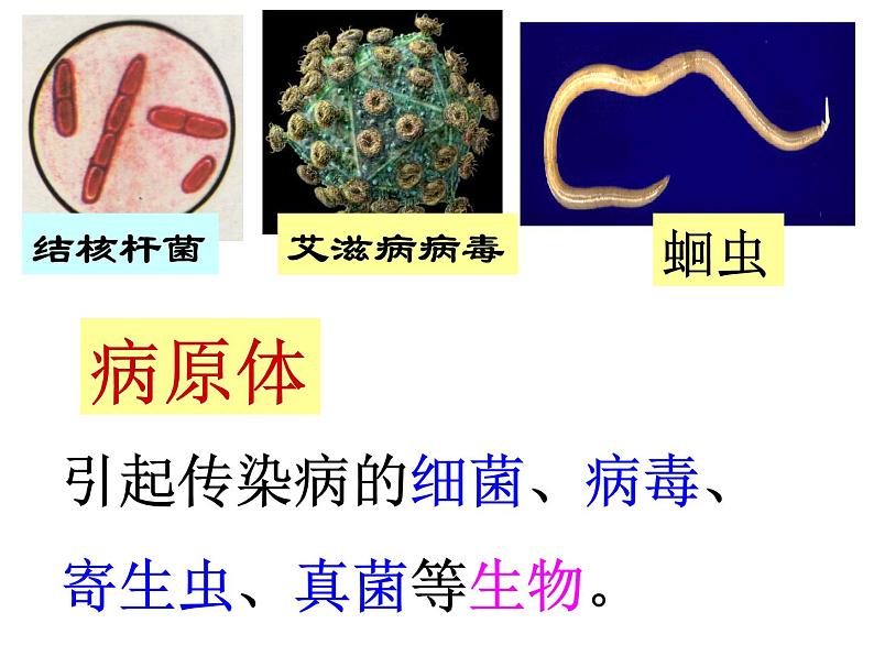 8.1.1传染病及其预防课件PPT07