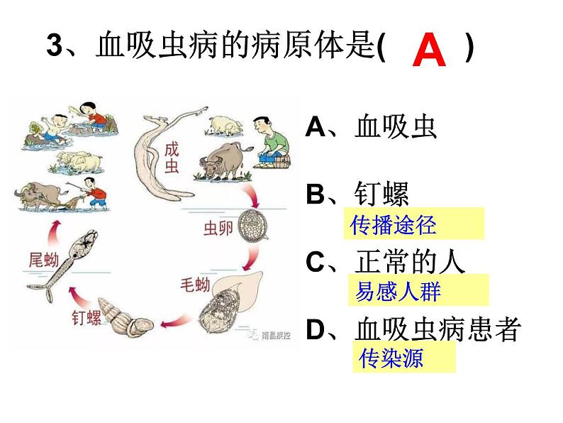 8.1.2免疫与计划免疫课件PPT03