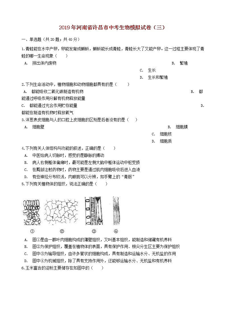 河南省许昌市中考生物模拟试卷（三） (含答案)01