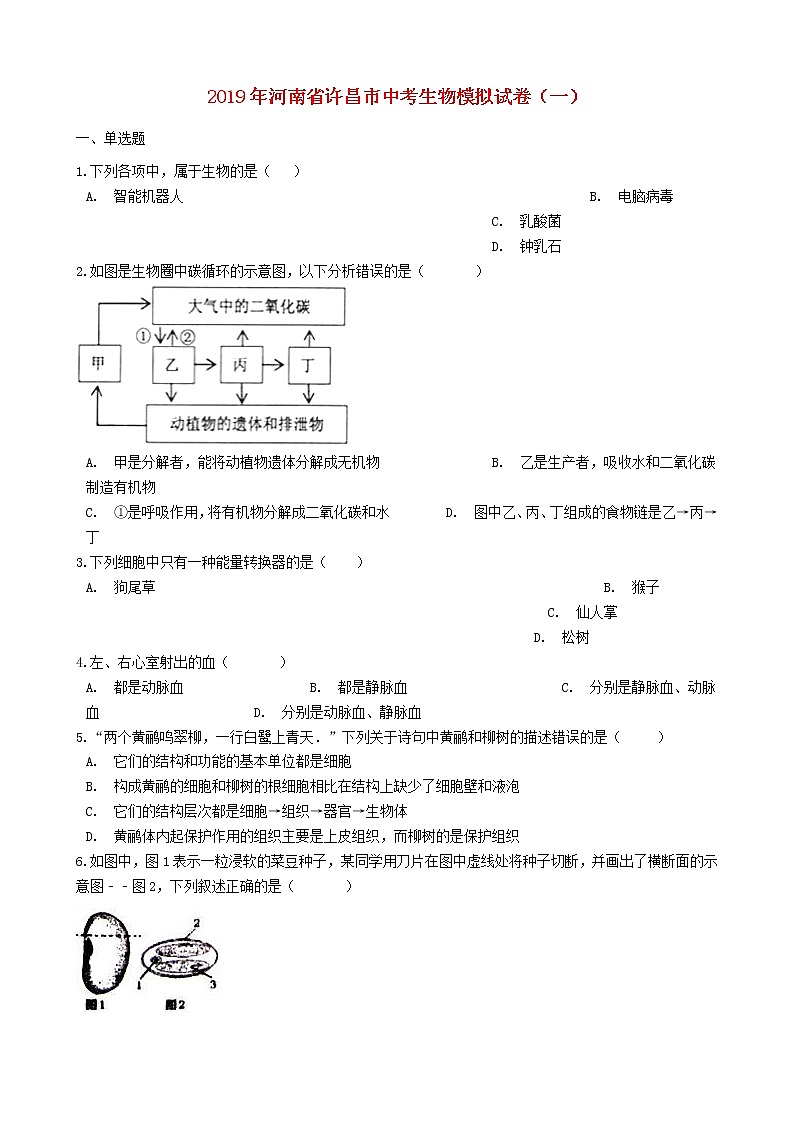 河南省许昌市中考生物模拟试卷（一） (含答案)01