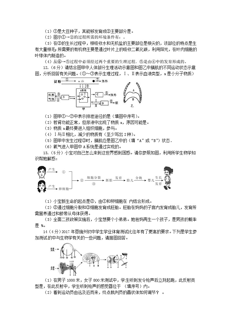湖北省恩施市中考生物仿真模拟试题1 (含答案)03