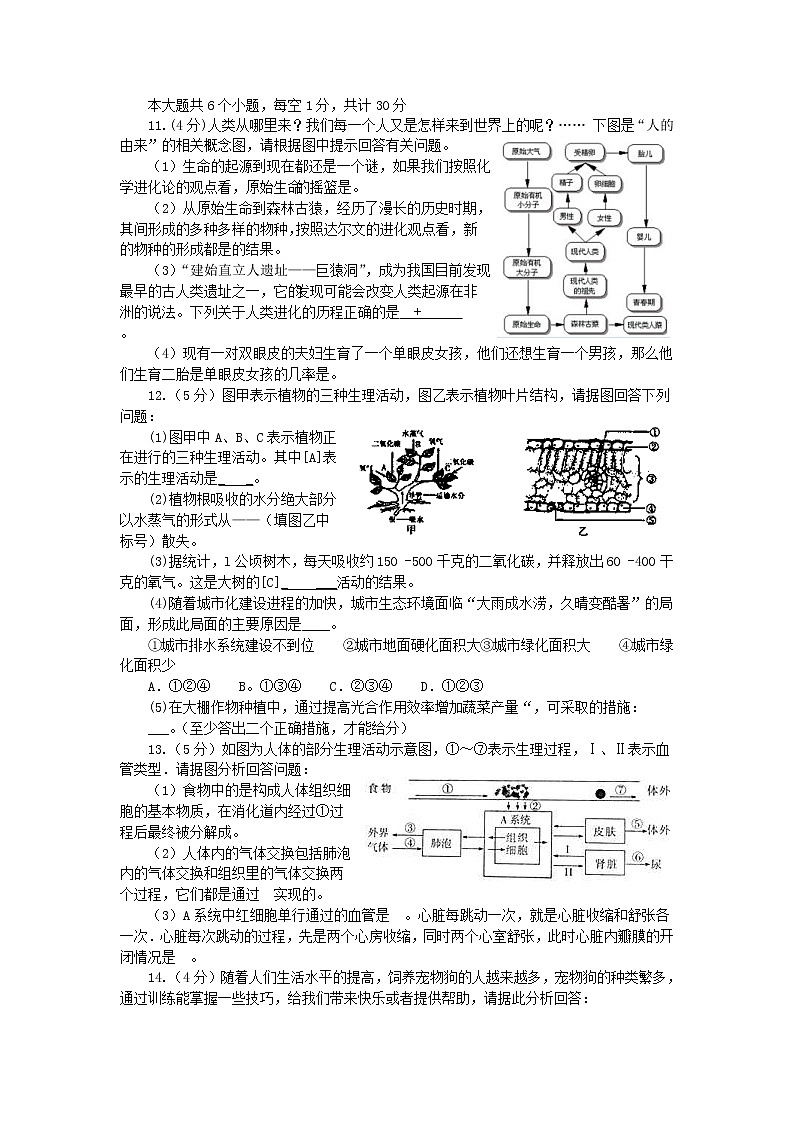 湖北省恩施市中考生物仿真模拟试题2 (含答案)第3页