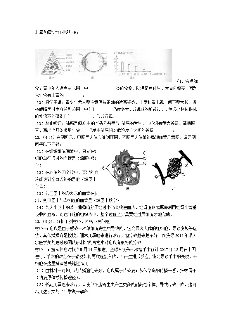 湖北省恩施市中考生物仿真模拟试题5 (含答案)第3页