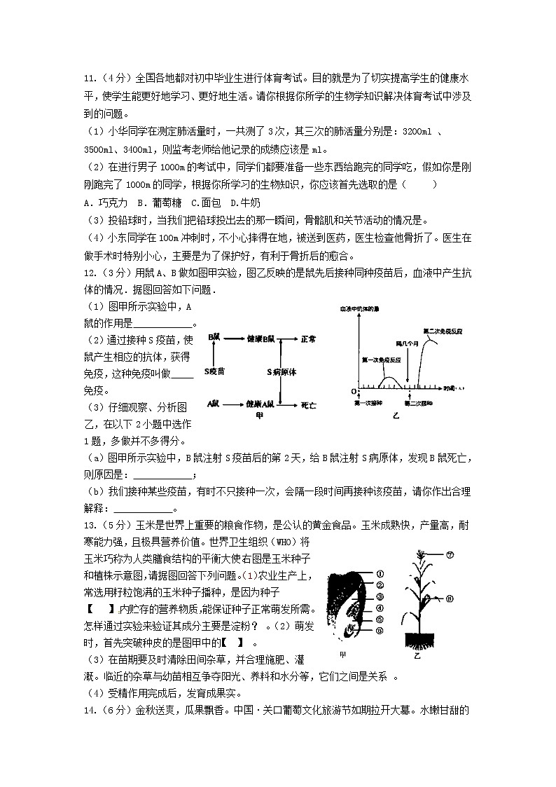 湖北省恩施市中考生物仿真模拟试题6 (含答案)03