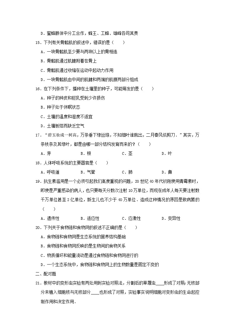 辽宁省沈阳市于洪区中考生物模拟试卷 (含答案)03