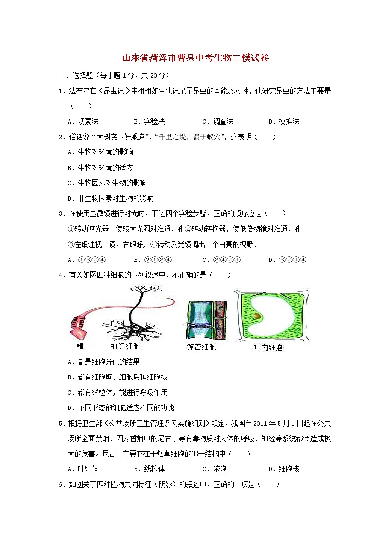 山东省菏泽市曹县中考生物二模试卷 (含答案)01
