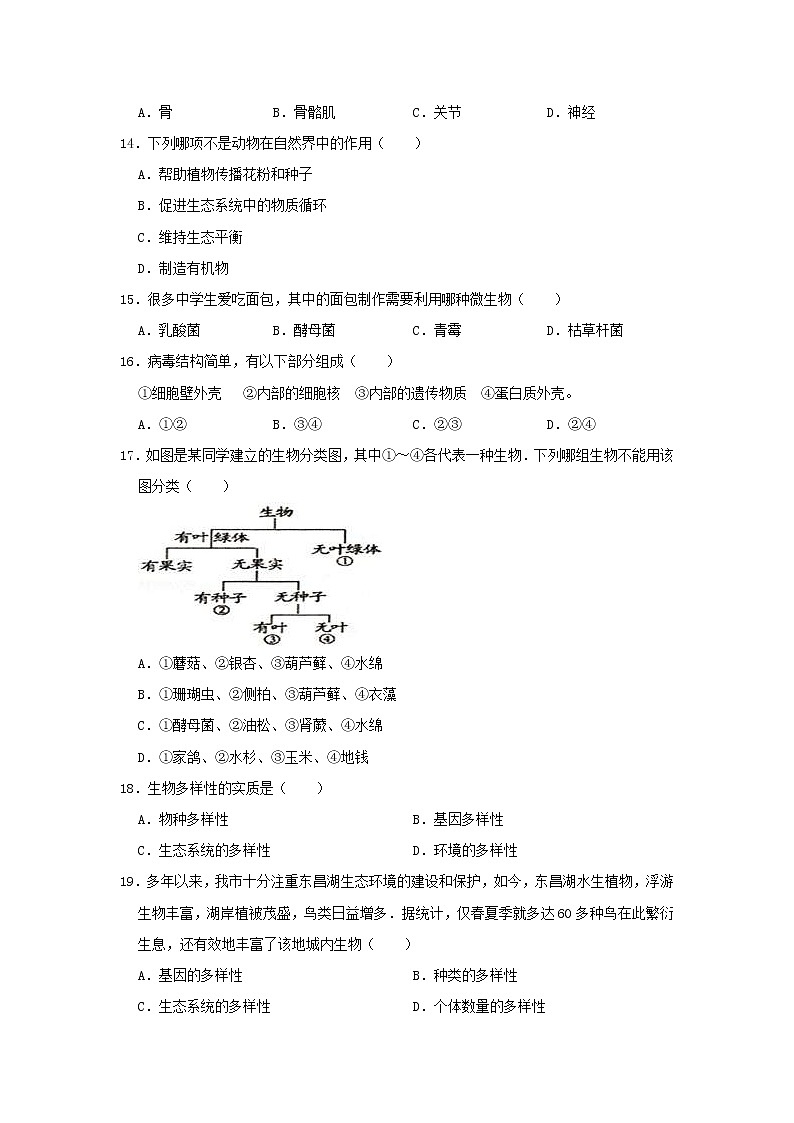 山东省聊城市临清市中考生物一模试卷 (含答案)03