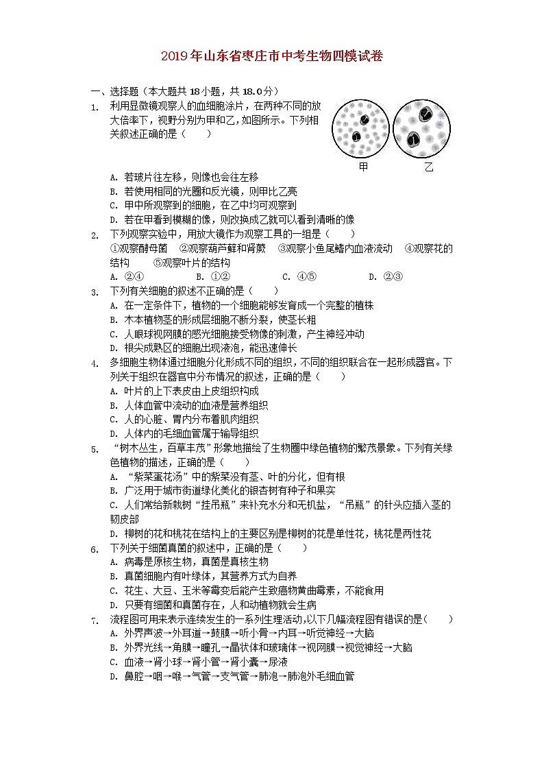 山东省枣庄市中考生物四模试 (含答案) 试卷01