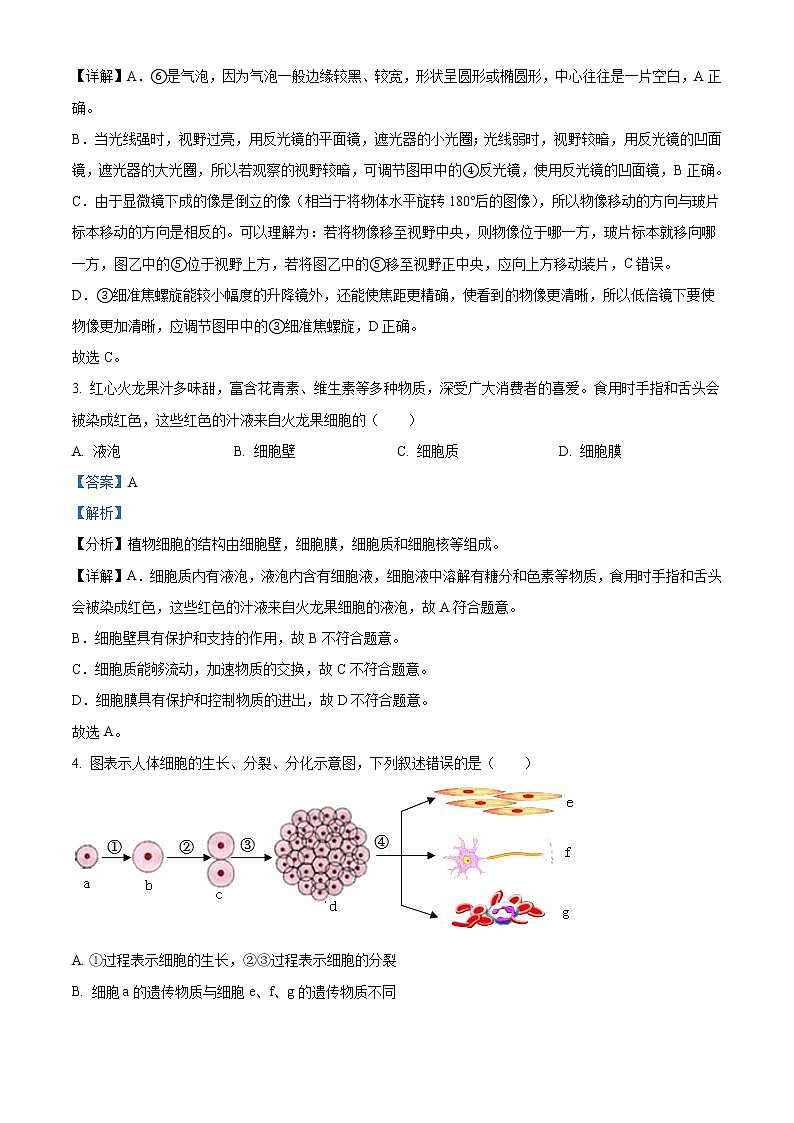 2022年广西贺州市中考生物真题（教师版）02