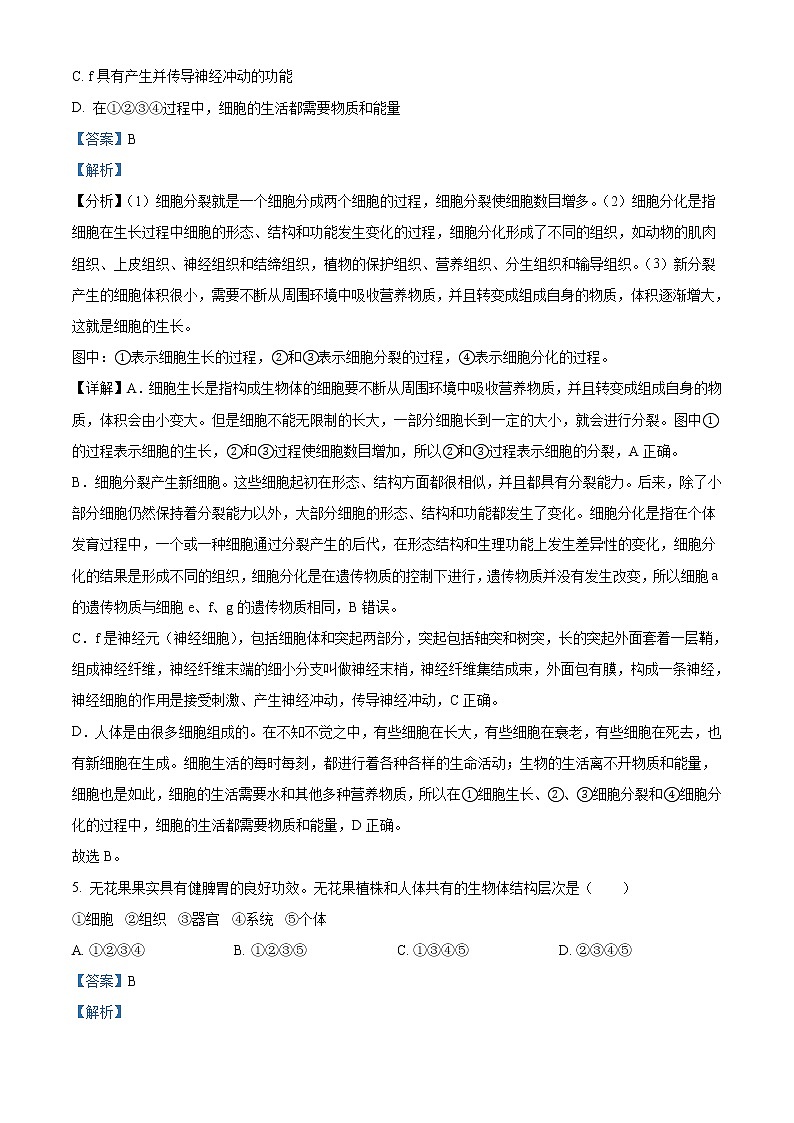 2022年广西贺州市中考生物真题（教师版）03