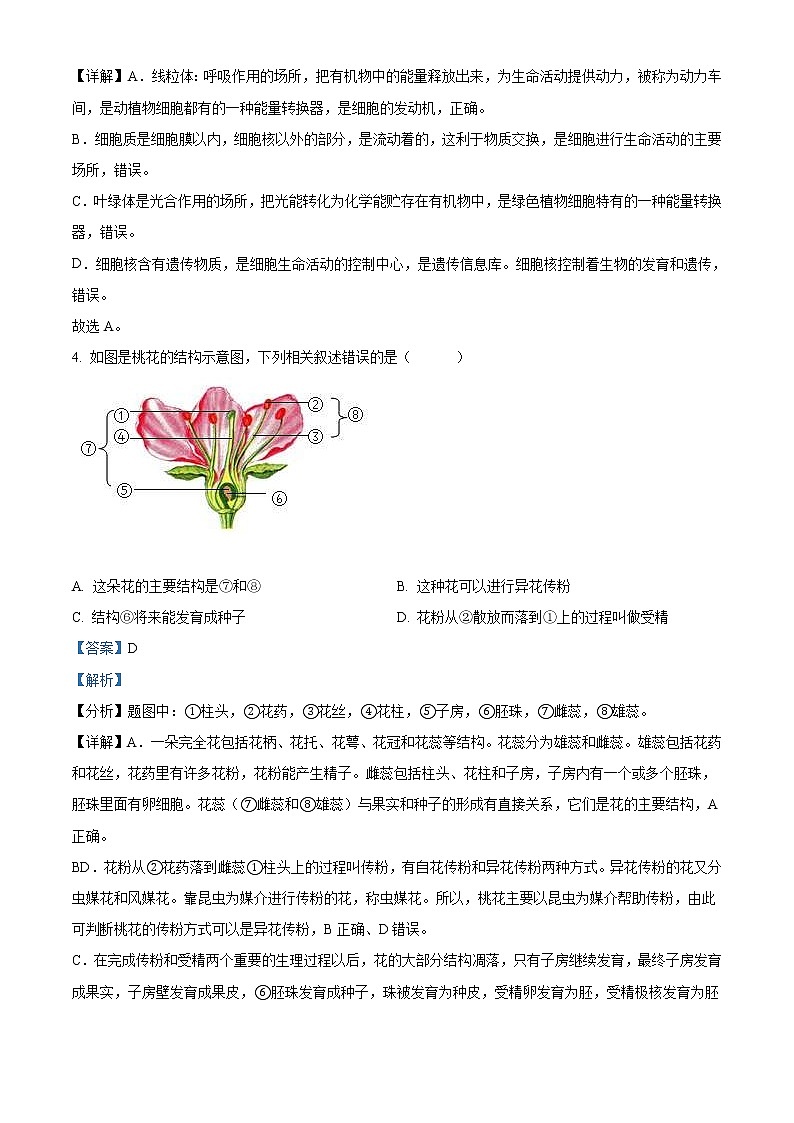 2022年湖南省邵阳市中考生物真题（教师版）02