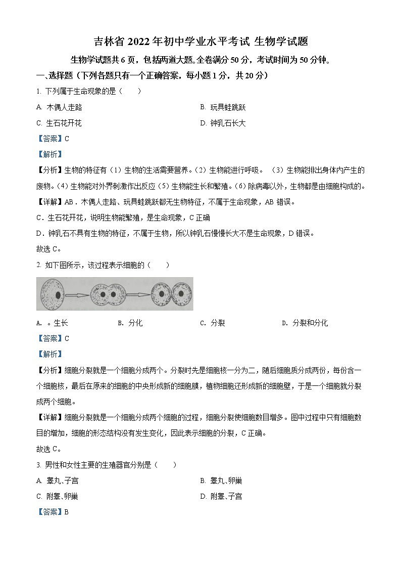 2022年吉林省大安市中考生物真题（教师版）01