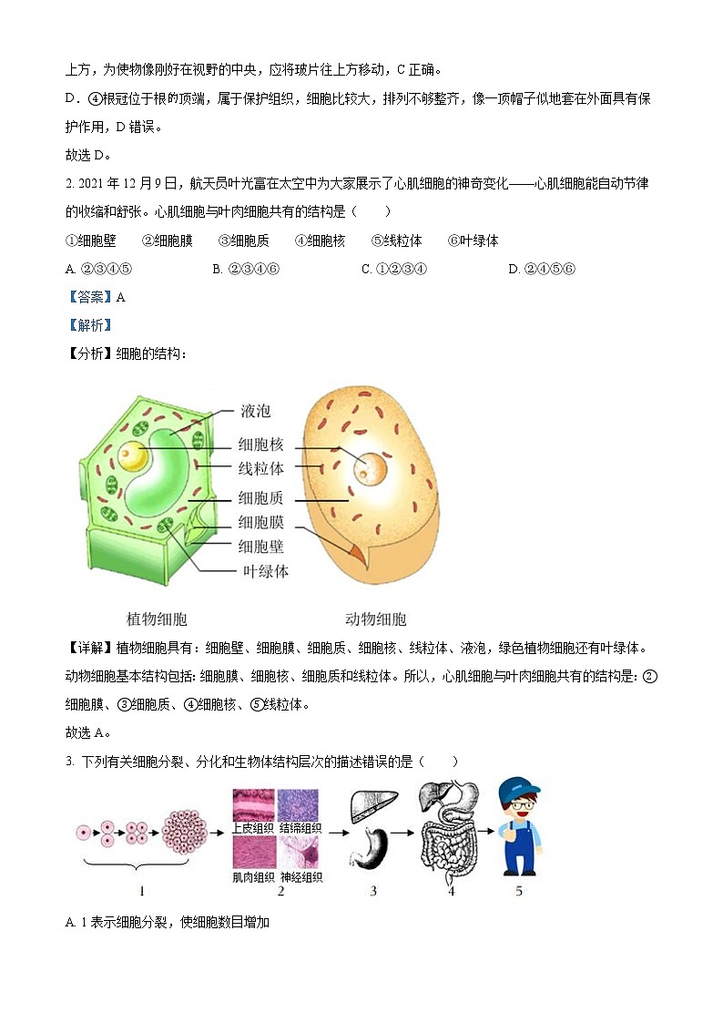 2022年山东省菏泽市中考生物真题（教师版）02