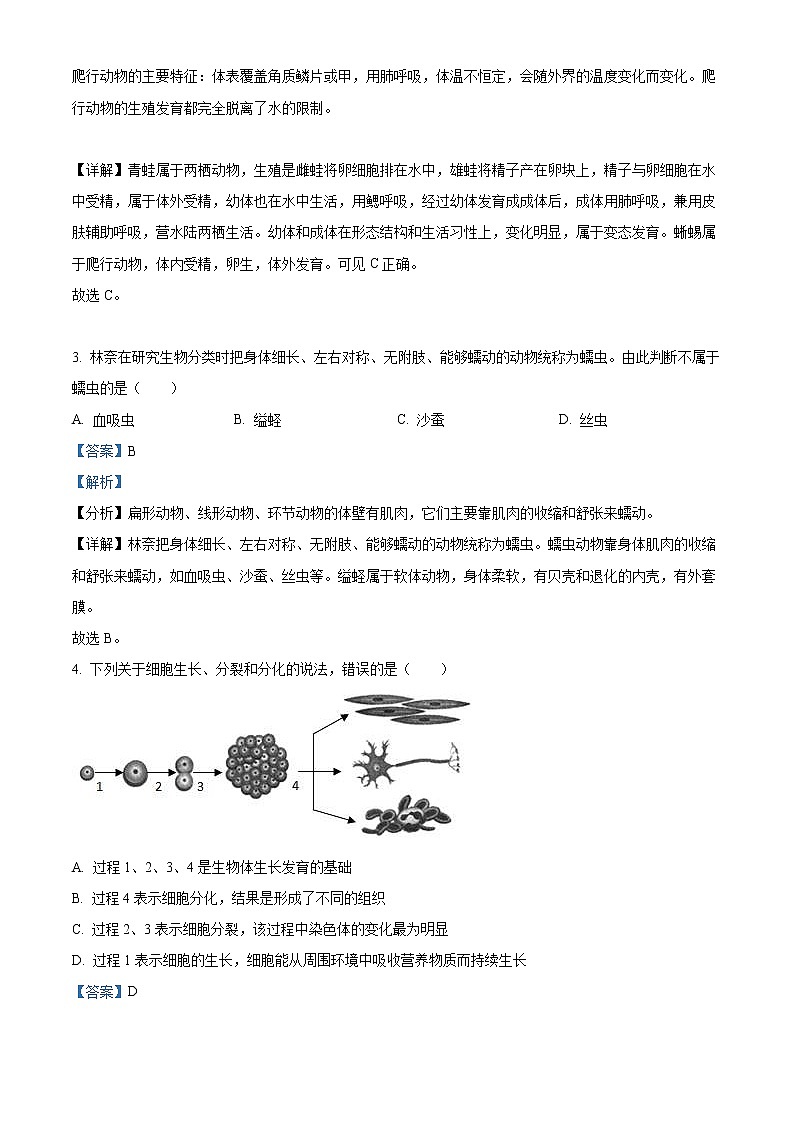 2022年山东省聊城市中考生物真题（教师版）02