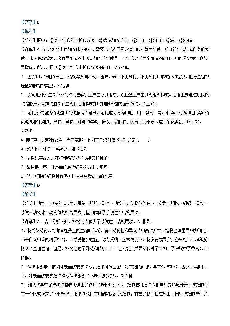 2022年新疆维吾尔自治区新疆生产建设兵团中考生物真题（教师版）02
