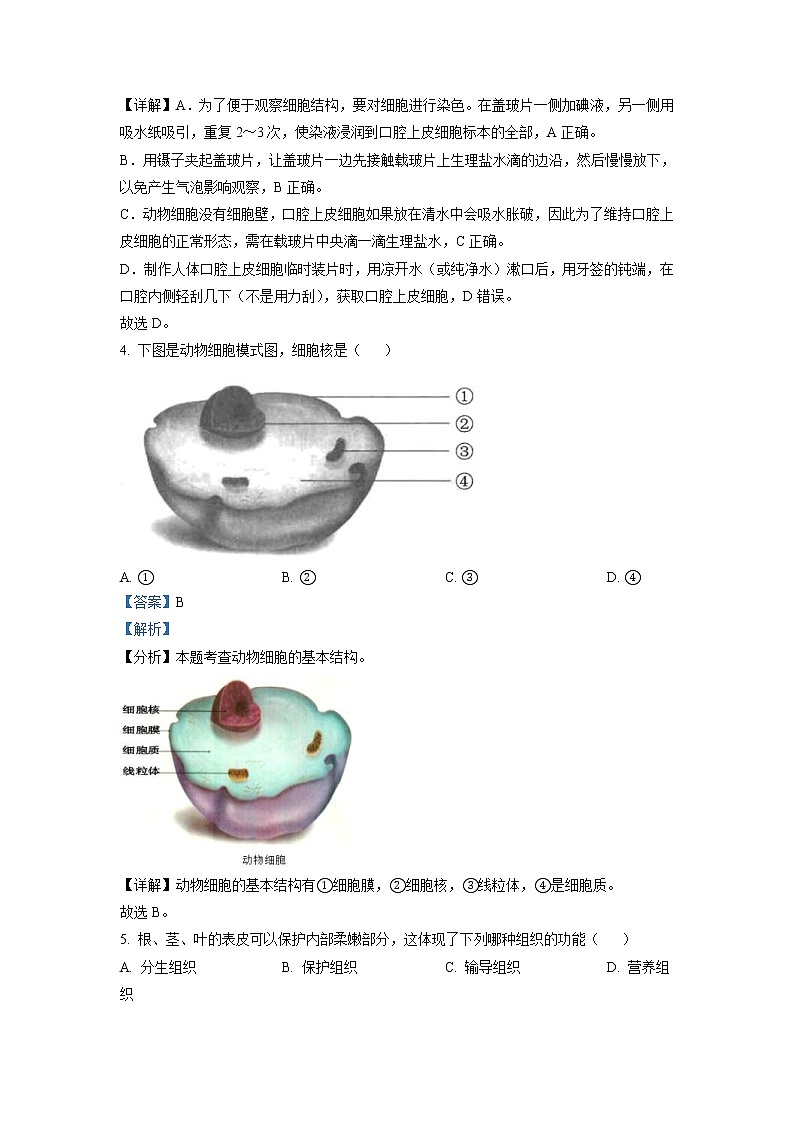 2022年云南省中考生物真题（教师版）02