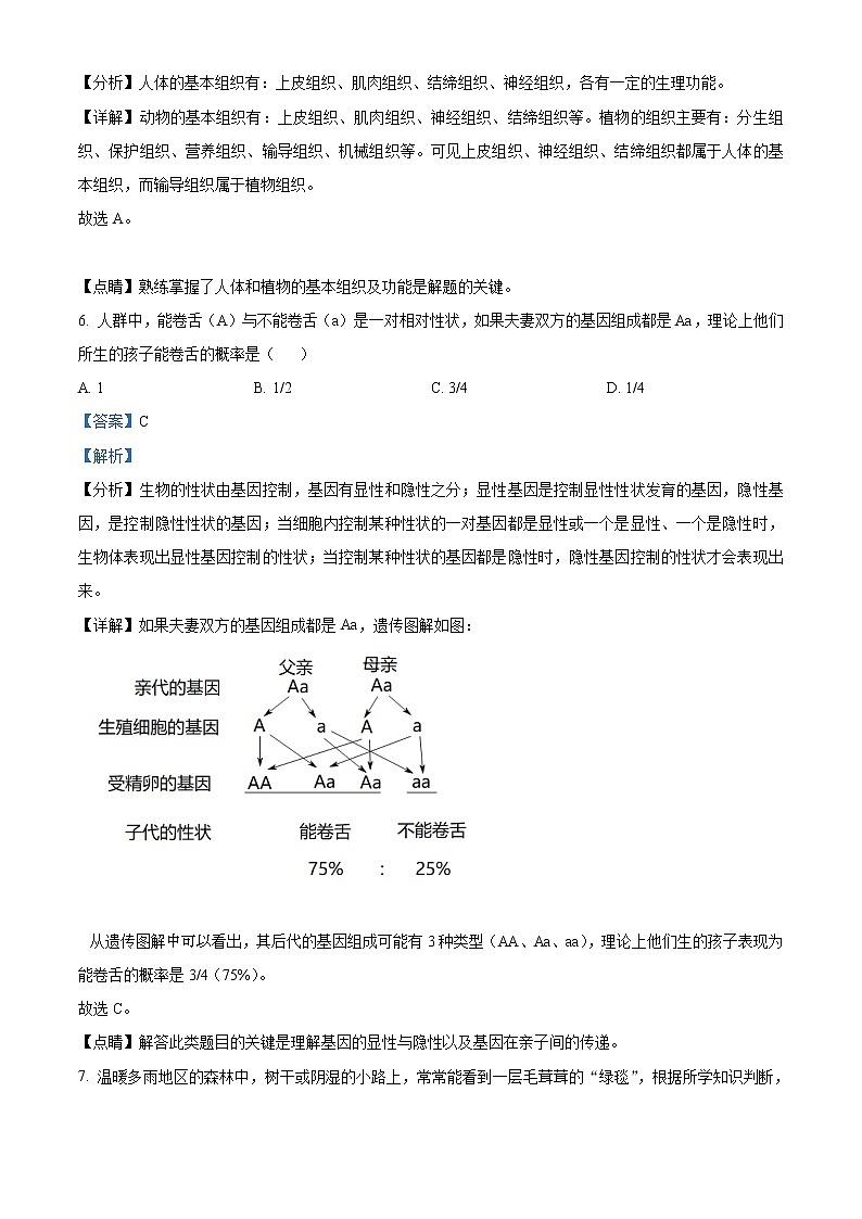 湖北省咸宁市2021年中考生物试题（教师版）第3页