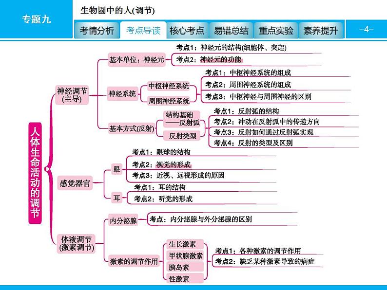 中考生物一轮复习课件专题九　生物圈中的人(调节) (含答案)04