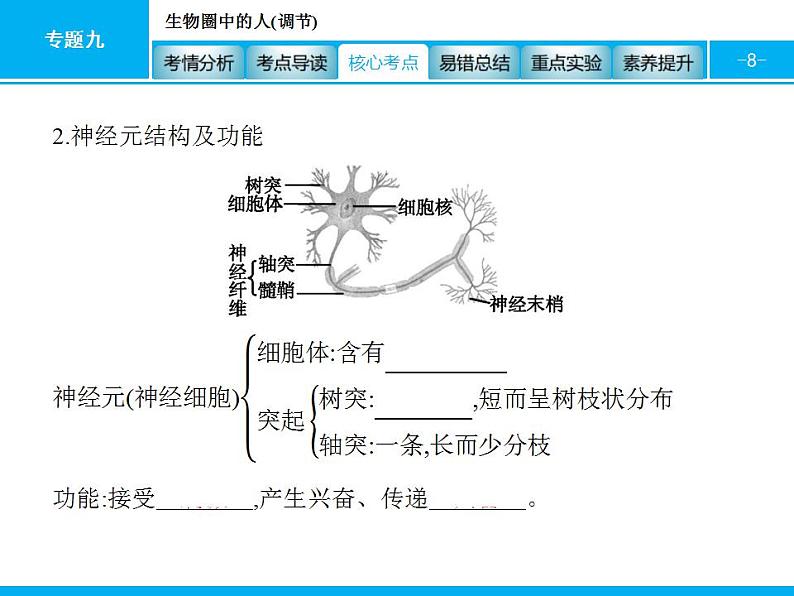 中考生物一轮复习课件专题九　生物圈中的人(调节) (含答案)08