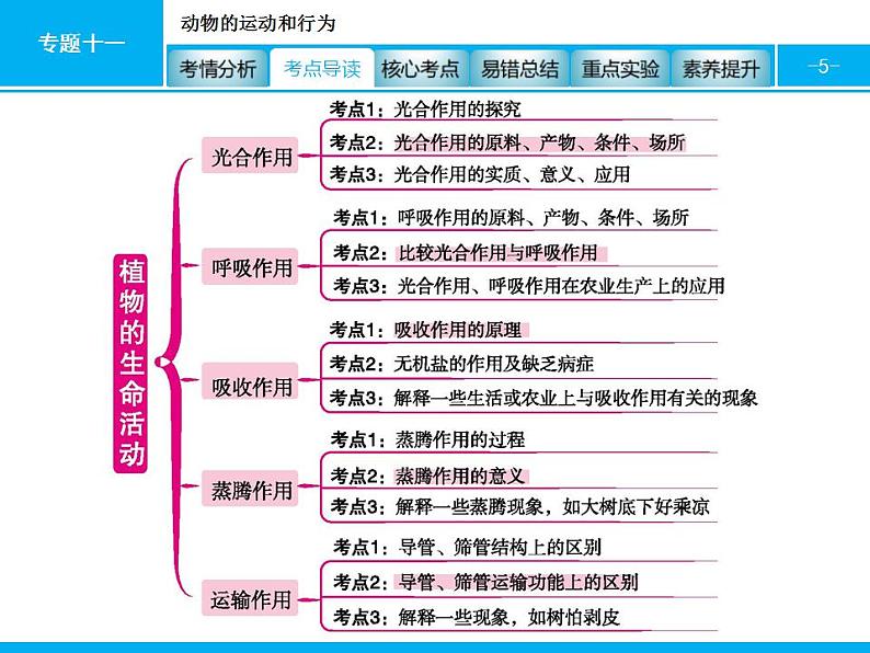 中考生物一轮复习课件专题四　生物圈中的绿色植物(生命活动) (含答案)第5页