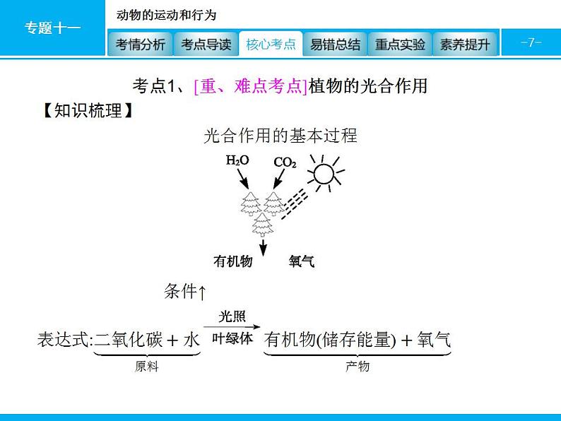 中考生物一轮复习课件专题四　生物圈中的绿色植物(生命活动) (含答案)第7页