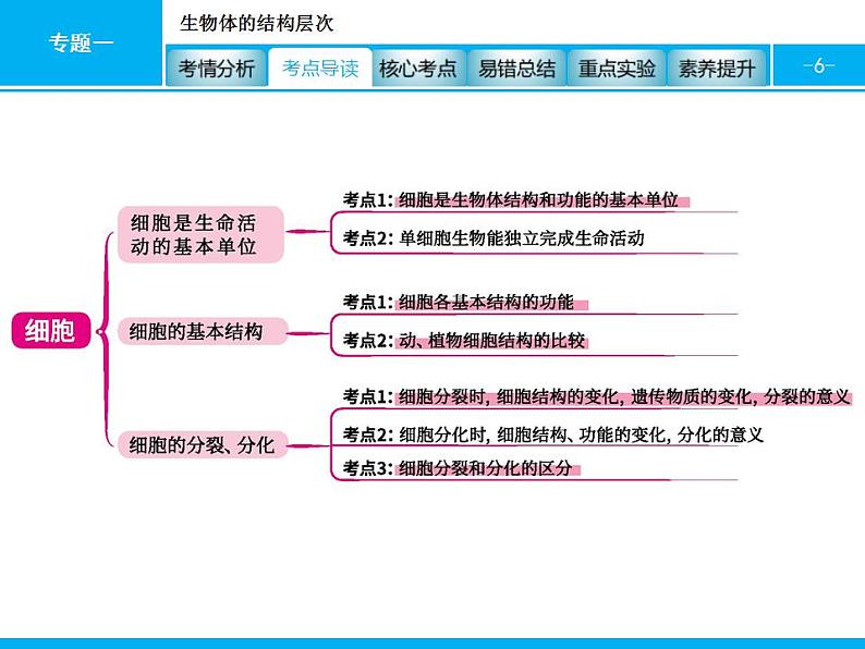 中考生物一轮复习课件专题一　生物体的结构层次 (含答案)第6页