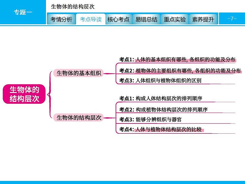 中考生物一轮复习课件专题一　生物体的结构层次 (含答案)第7页