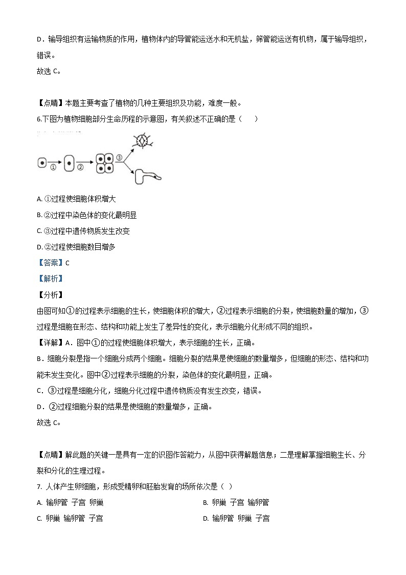 海南省2020年中考生物试题（教师版）03