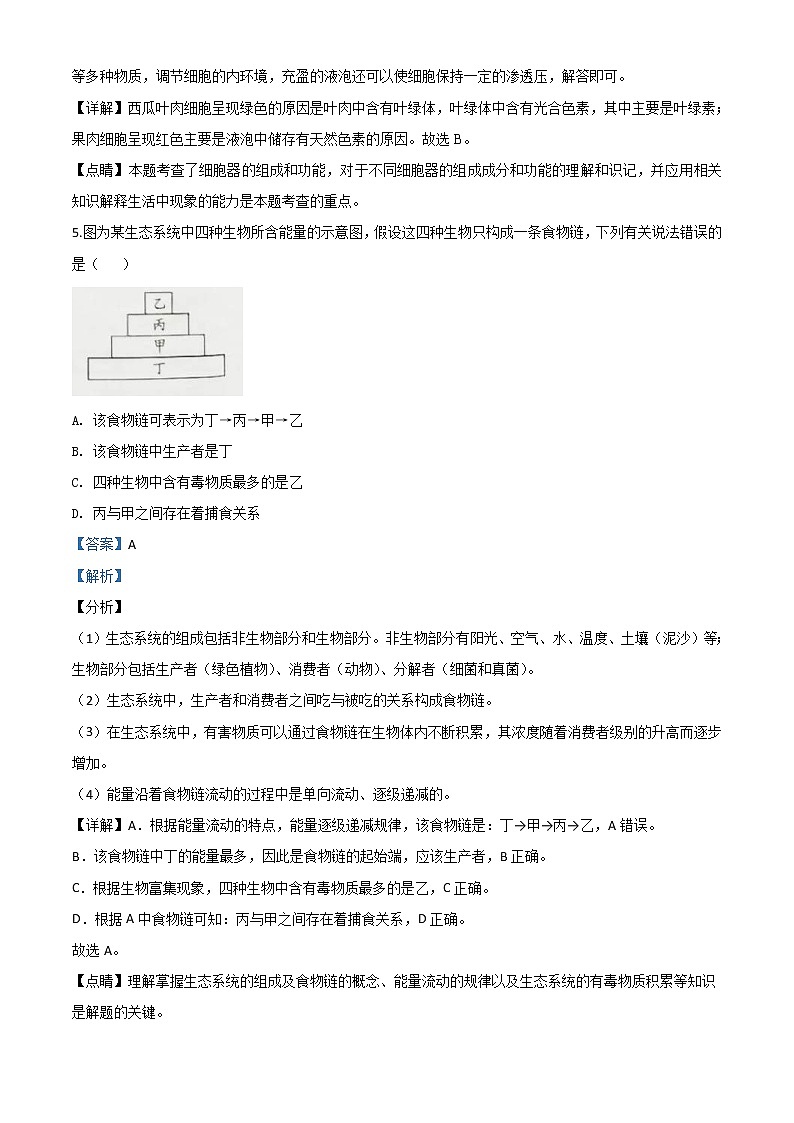 湖南省邵阳市2020年中考生物试题（教师版）03