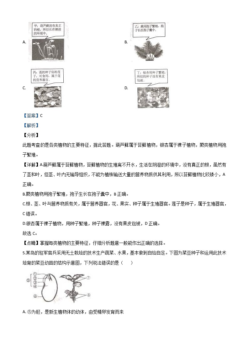 湖南省张家界市2020年中考生物试题（教师版）03