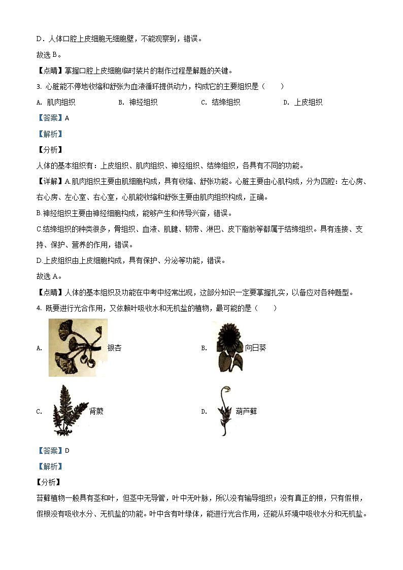 湖南岳阳市2020年中考生物试题（教师版）02