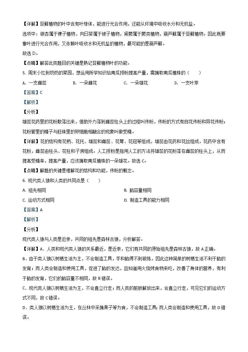 湖南岳阳市2020年中考生物试题（教师版）03