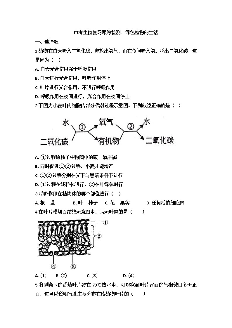中考生物一轮复习跟踪检测：绿色植物的生活 (含答案)第1页